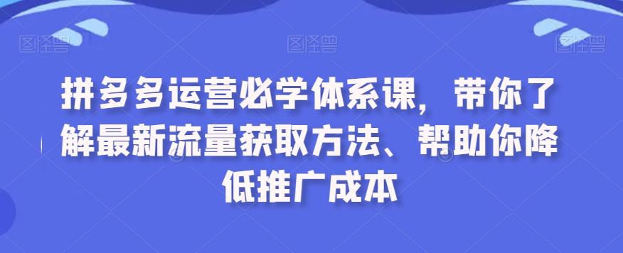 拼多多运营必学体系课，带你了解最新流量获取方法、帮助你降低推广成本-鼎誉项目网