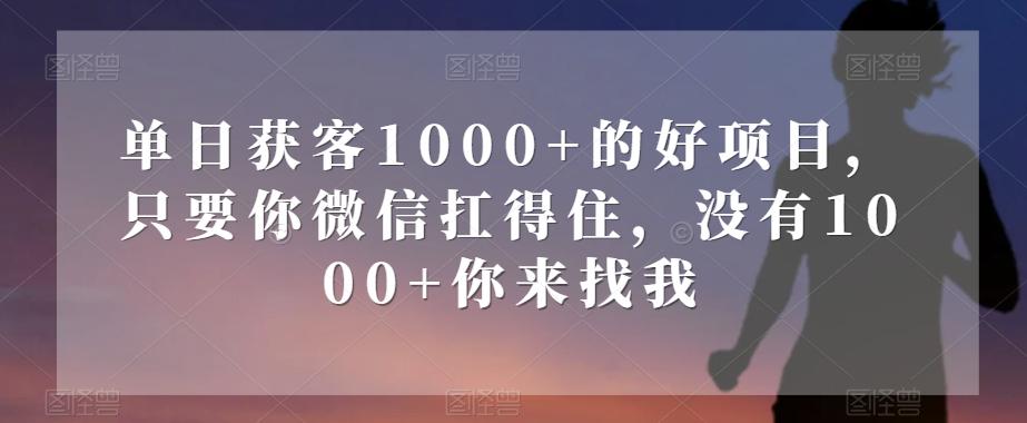 单日获客1000+的好项目，只要你微信扛得住，没有1000+你来找我【揭秘】-鼎誉项目网