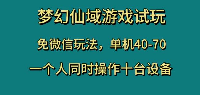 梦幻仙域游戏试玩，免微信玩法，单机40-70，一个人同时操作十台设备【揭秘】-鼎誉项目网