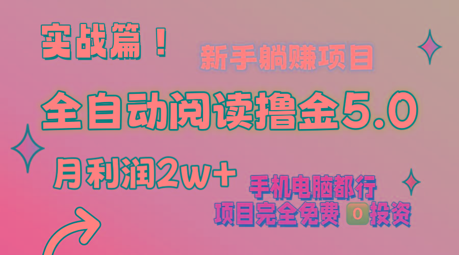 小说全自动阅读撸金5.0 操作简单 可批量操作 零门槛！小白无脑上手月入2w+-鼎誉项目网