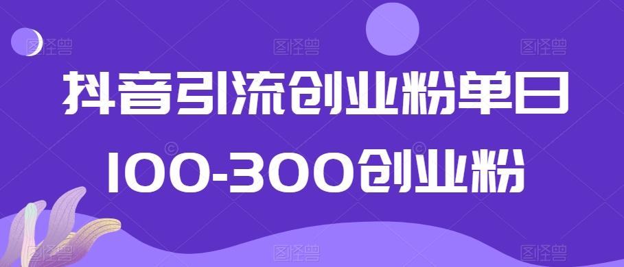 抖音引流创业粉单日100-300创业粉【揭秘】-鼎誉项目网