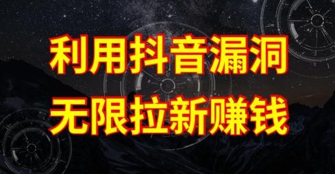 利用抖音链接漏洞，无限拉新赚钱【漏洞原理+操作流程】【揭秘】-鼎誉项目网