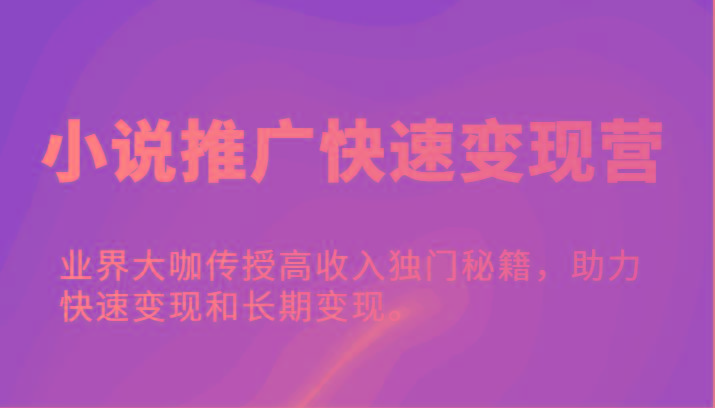 小说推广快速变现营-业界大咖传授高收入独门秘籍，助力快速变现和长期变现。-鼎誉项目网