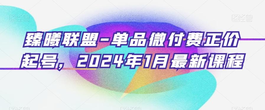 臻曦联盟-单品微付费正价起号，2024年1月最新课程-鼎誉项目网