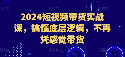 2024短视频带货实战课，搞懂底层逻辑，不再凭感觉带货-鼎誉项目网