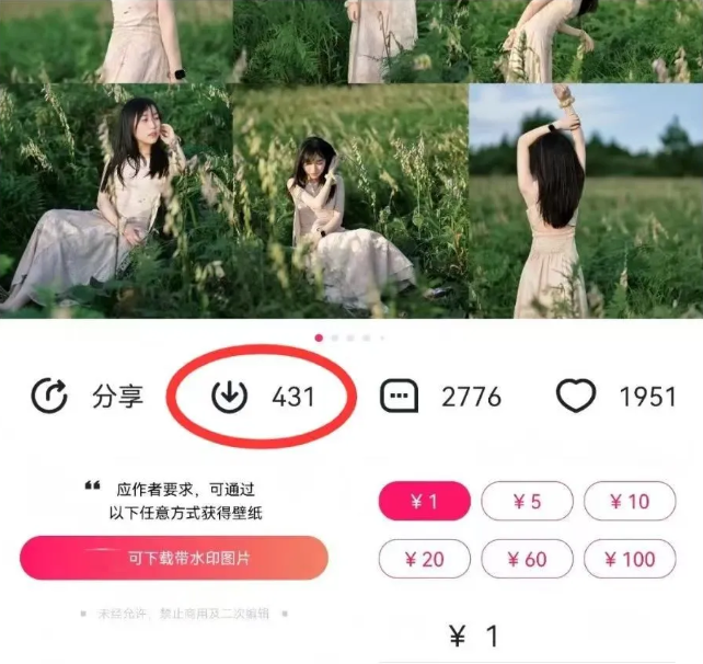 最新图虫搬运项目,收益无上限,利用AI小白也可日赚500+-鼎誉项目网
