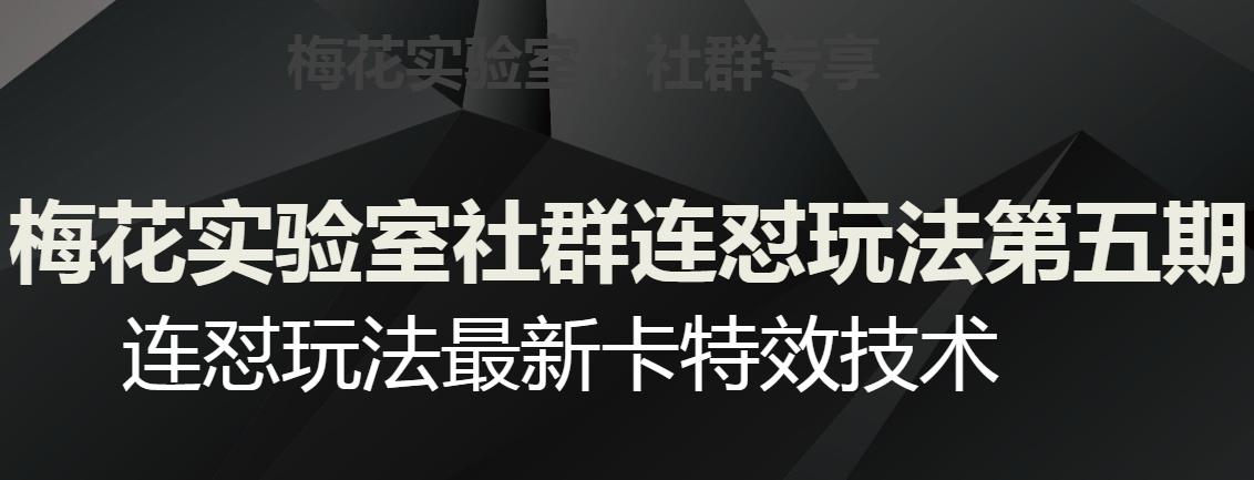 梅花实验室社群连怼玩法第五期，视频号连怼玩法最新卡特效技术-鼎誉项目网