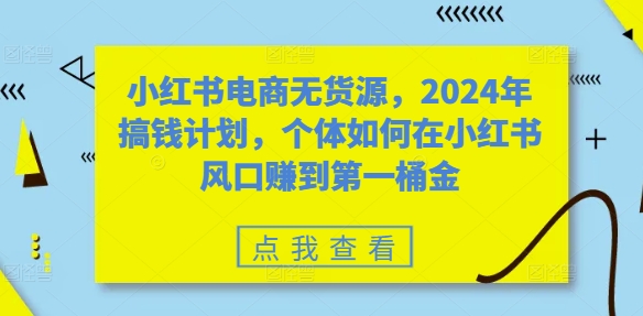 小红书电商无货源，2024年搞钱计划，个体如何在小红书风口赚到第一桶金-鼎誉项目网