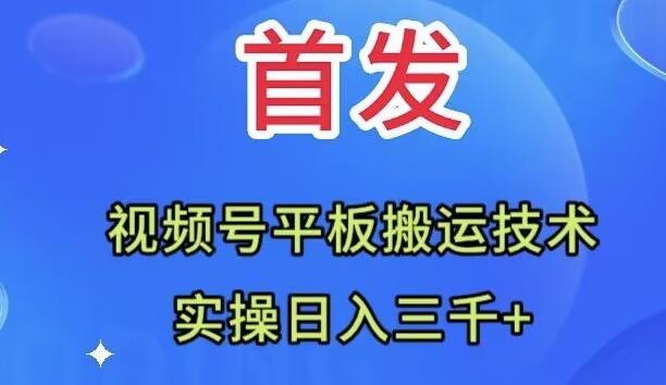 全网首发：视频号平板搬运技术，实操日入三千＋-鼎誉项目网