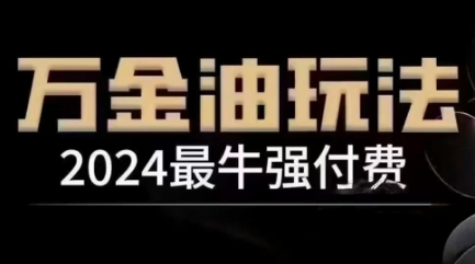 2024最牛强付费，万金油强付费玩法，干货满满，全程实操起飞(更新12月)-鼎誉项目网