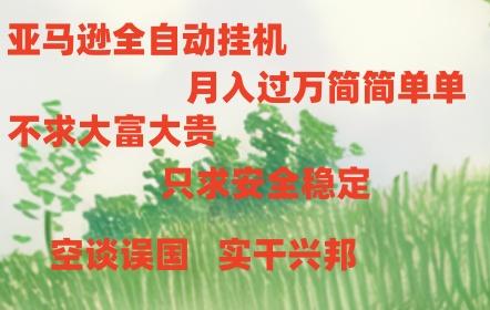 亚马逊全自动浏览挂机-鼎誉项目网