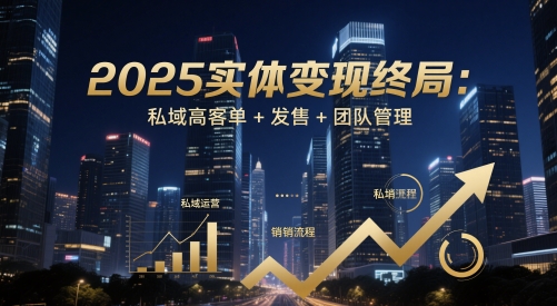 2025实体变现终局：私域高客单+发售+团队管理-鼎誉项目网