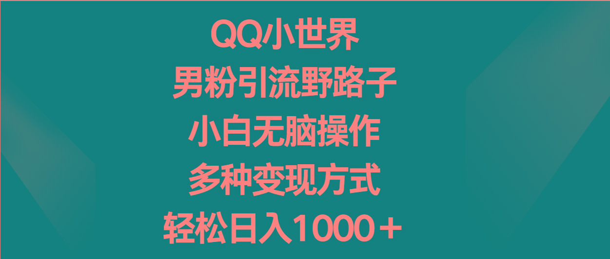 QQ小世界男粉引流野路子,小白无脑操作,多种变现方式轻松日入1000+-鼎誉项目网