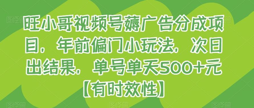 旺小哥视频号薅广告分成项目，年前偏门小玩法，次日出结果，单号单天500+元【有时效性】-鼎誉项目网