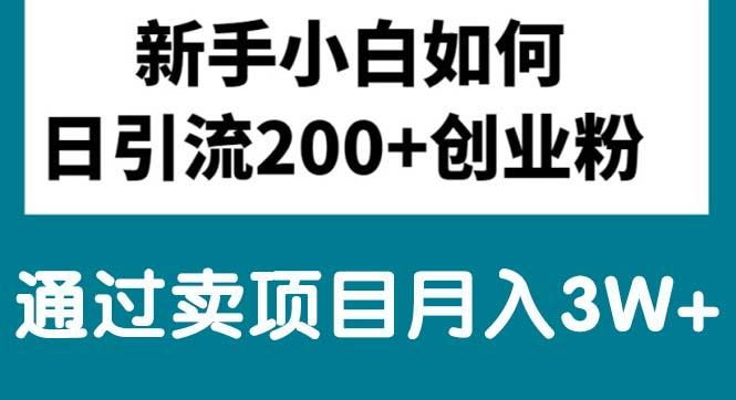 新手小白日引流200+创业粉,通过卖项目月入3W+-鼎誉项目网