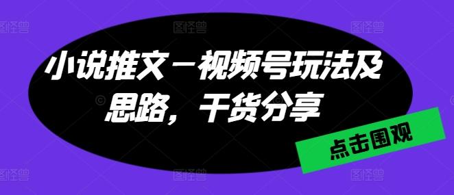 小说推文—视频号玩法及思路，干货分享-鼎誉项目网