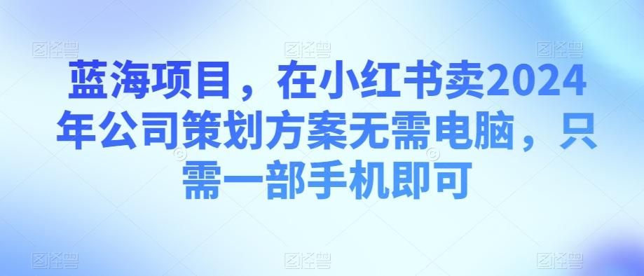 蓝海项目，在小红书卖2024年公司策划方案无需电脑，只需一部手机即可-鼎誉项目网