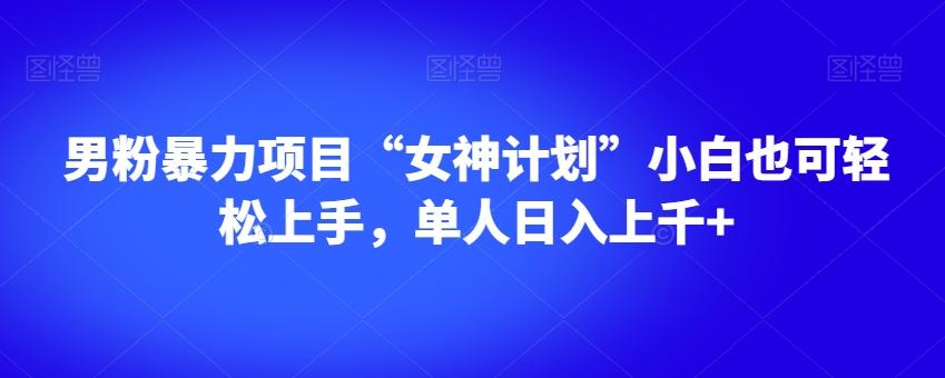 男粉暴力项目“女神计划”小白也可轻松上手，单人日入上千+【揭秘】-鼎誉项目网