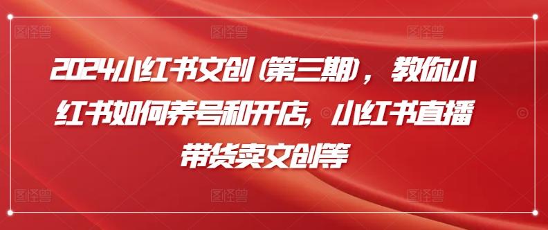 2024小红书文创(第三期)，教你小红书如何养号和开店，小红书直播带货卖文创等-鼎誉项目网