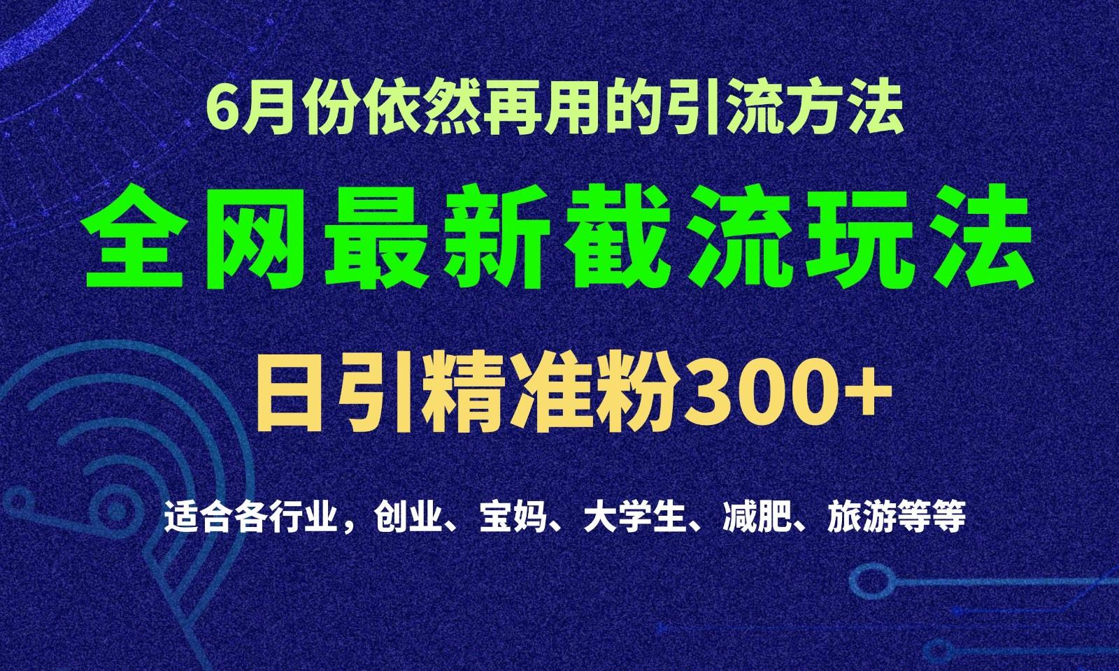 2024全网最新截留玩法，每日引流突破300+-鼎誉项目网