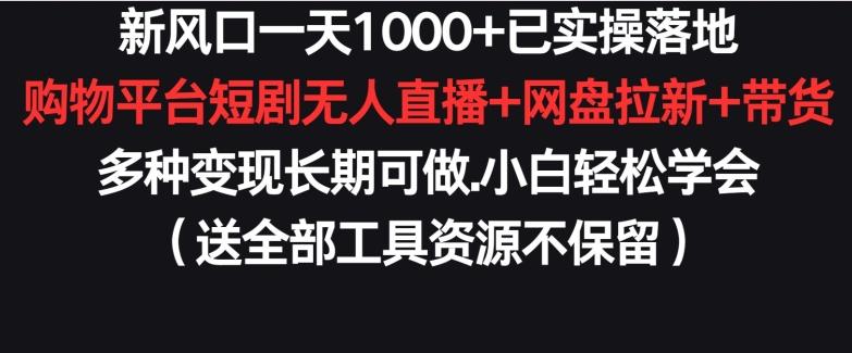 新风口一天1000+已实操落地购物平台短剧无人直播+网盘拉新+带货多种变现长期可做【揭秘】-鼎誉项目网