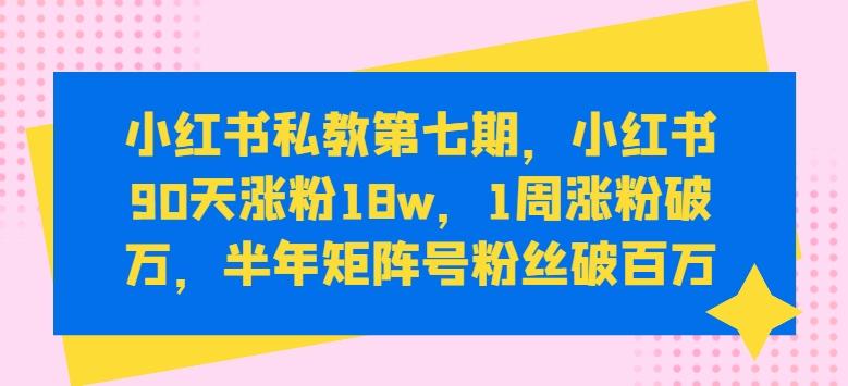 小红书私教第七期，小红书90天涨粉18w，1周涨粉破万，半年矩阵号粉丝破百万-鼎誉项目网