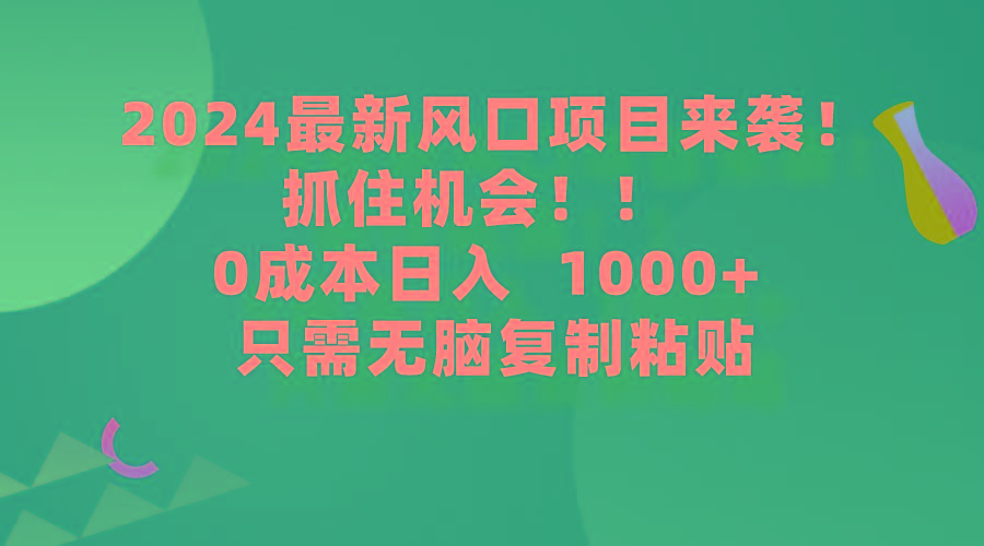 (9899期)2024最新风口项目来袭，抓住机会，0成本一部手机日入1000+，只需无脑复…-鼎誉项目网