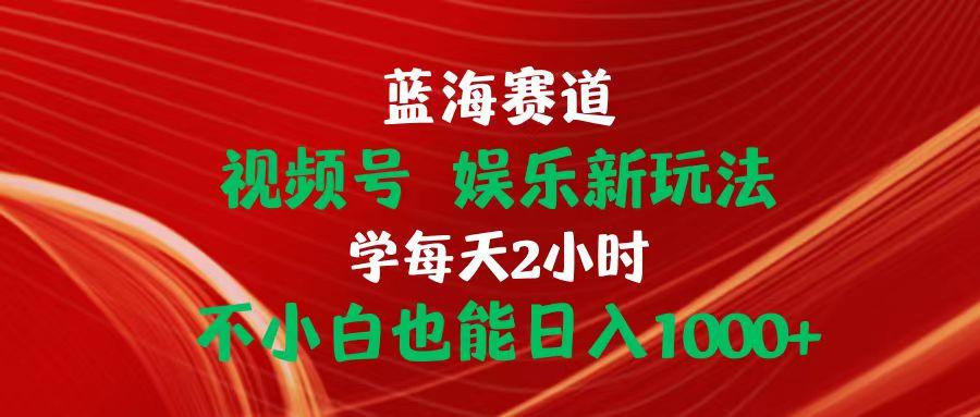 蓝海赛道视频号 娱乐新玩法每天2小时小白也能日入1000+-鼎誉项目网