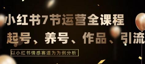 7节小红书运营实战全教程，结合最新情感赛道，打通小红书运营全流程【揭秘】-鼎誉项目网