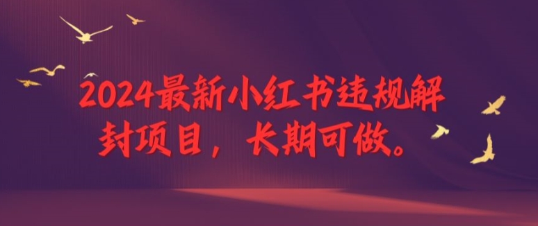 2024最新小红书违规解封项目，长期可做，一个可以做到退休的项目【揭秘】-鼎誉项目网