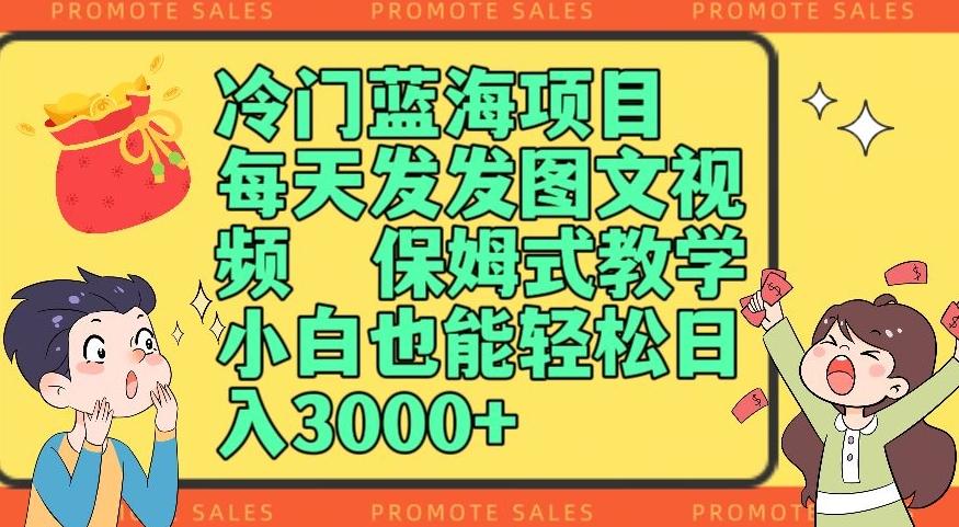 冷门蓝海项目，每天发发图文视频，保姆式教学，小白也能轻松日入3000+-鼎誉项目网