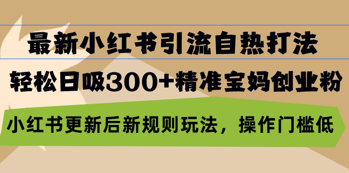 最新小红书引流自热打法，轻松日吸300+精准宝妈创业粉，小红书更新后新…-鼎誉项目网