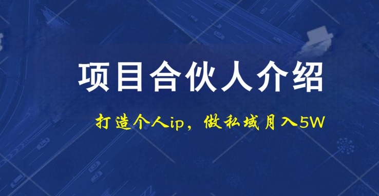 项目合伙人项目，打造个人IP，做私域月入5W，小白勿扰-鼎誉项目网