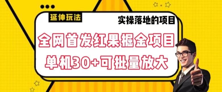 全网首发红果免费短剧掘金项目，单机30+可批量放大【揭秘】-鼎誉项目网