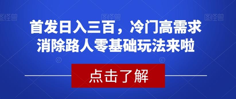 首发日入三百，冷门高需求消除路人零基础玩法来啦【揭秘】-鼎誉项目网