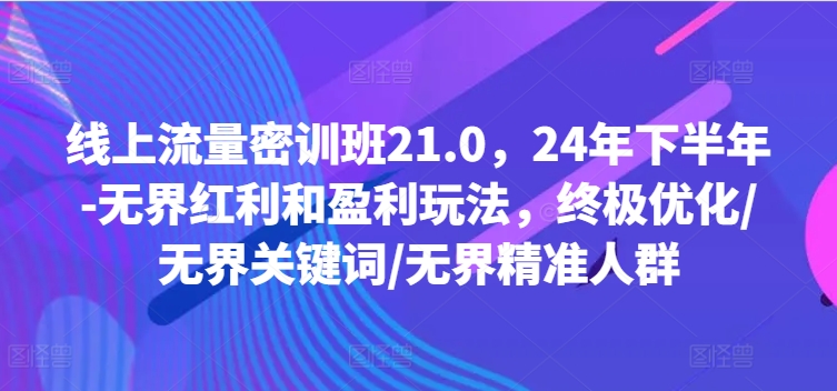 线上流量密训班21.0，24年下半年-无界红利和盈利玩法，终极优化/无界关键词/无界精准人群-鼎誉项目网
