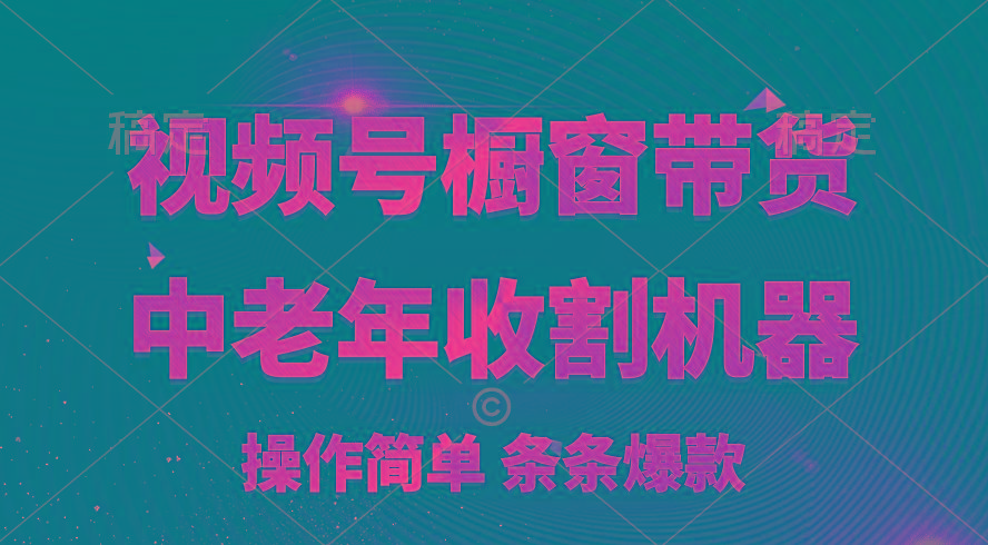 [你的孩子成功取得高位]视频号最火爆赛道，橱窗带货，流量分成计划，条…-鼎誉项目网