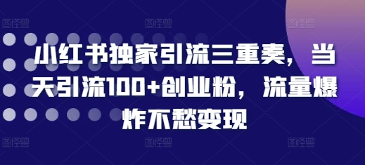 小红书独家引流三重奏，当天引流100+创业粉，流量爆炸不愁变现【揭秘】-鼎誉项目网