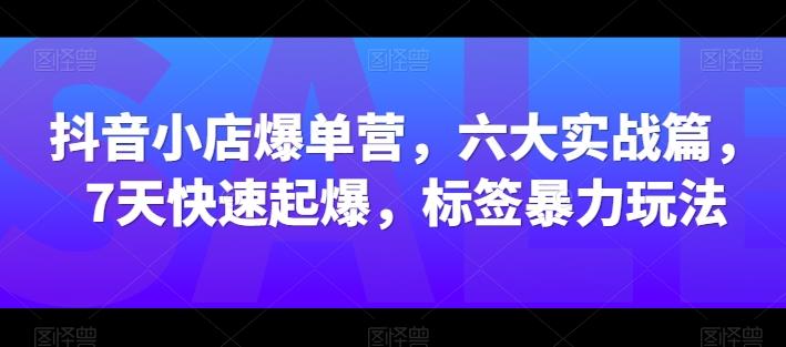 抖音小店爆单营，六大实战篇，7天快速起爆，标签暴力玩法-鼎誉项目网