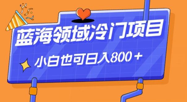 蓝海领域冷门赛道，一单39.9，日入800＋-鼎誉项目网