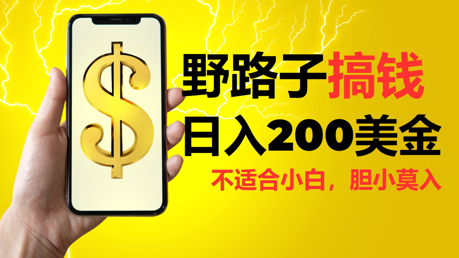 挂机野路子搞钱，日入200美金，路子很野，小白莫入-鼎誉项目网