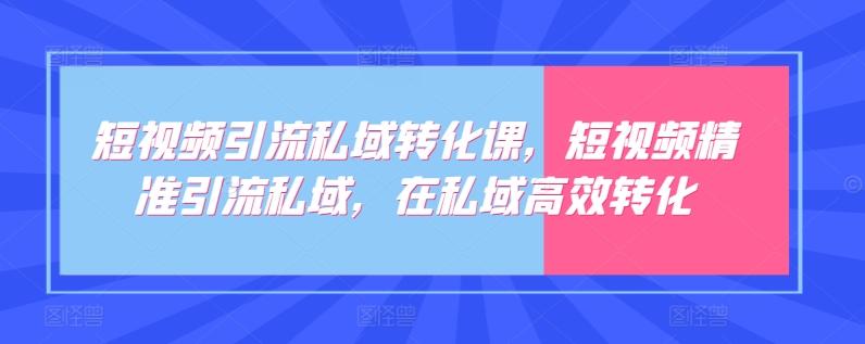 短视频引流私域转化课，短视频精准引流私域，在私域高效转化-鼎誉项目网