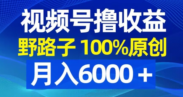 视频号野路子撸收益，100%原创，条条爆款，月入6000＋【揭秘】-鼎誉项目网