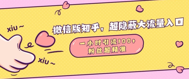 微信版知乎，超隐蔽流量入口1小时引流100人，粉丝质量超高【揭秘】-鼎誉项目网