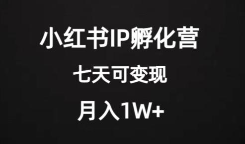 价值2000+的小红书IP孵化营项目，超级大蓝海，七天即可开始变现，稳定月入1W+-鼎誉项目网