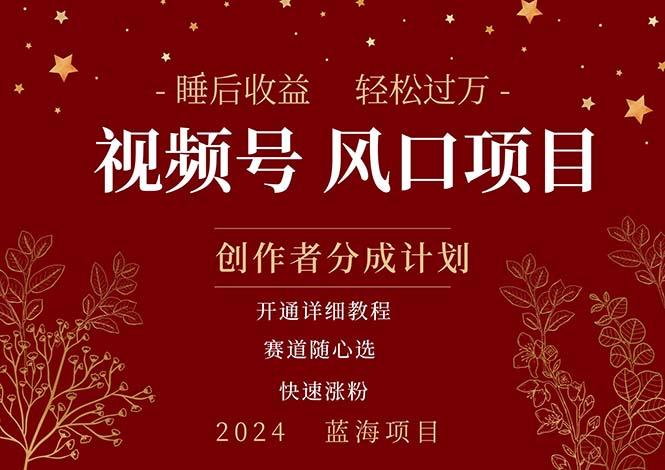 拥有睡眠收益的微信视频号大风口项目，轻松月入过万+，多赛道选择，可…-鼎誉项目网