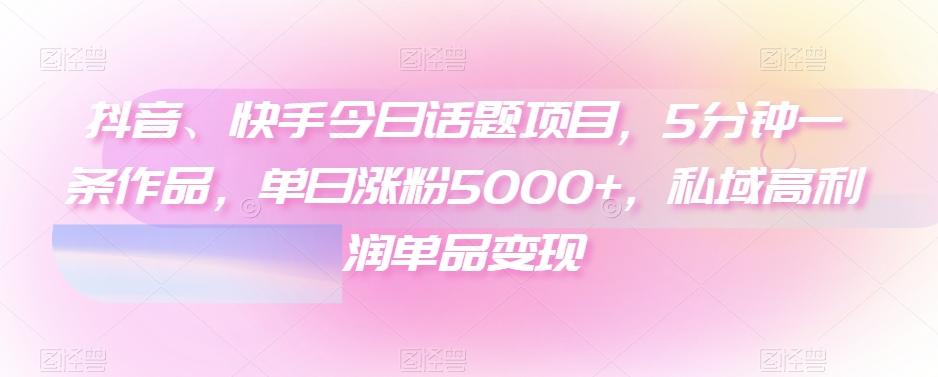 抖音、快手今日话题项目，5分钟一条作品，单日涨粉5000+，私域高利润单品变现-鼎誉项目网
