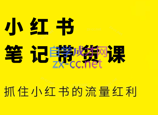 张宾·小红书笔记带货课(更新9月)-鼎誉项目网