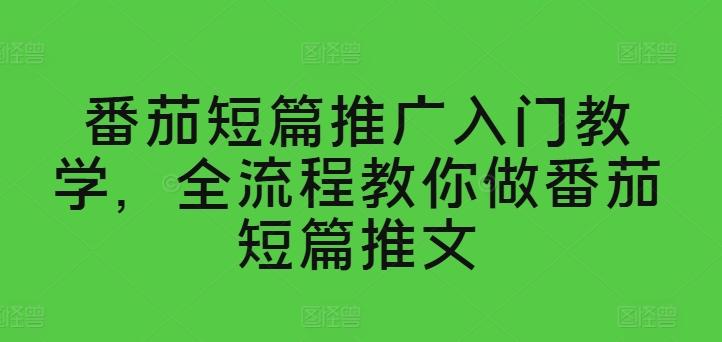 番茄短篇推广入门教学，全流程教你做番茄短篇推文-鼎誉项目网