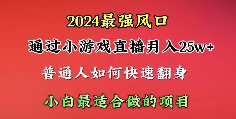 (10020期)2024年最强风口，通过小游戏直播月入25w+单日收益5000+小白最适合做的项目-鼎誉项目网